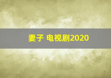 妻子 电视剧2020